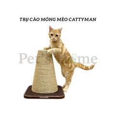 Trụ tam giác mèo cào Cattyman