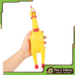 Đồ chơi con gà kêu Shrilling Chicken