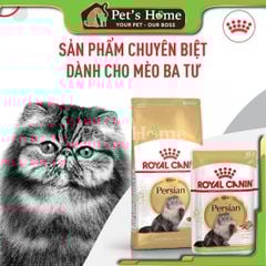 Hạt Royal Canin Persian [2kg - 400g] thức ăn cho mèo Ba Tư dưỡng lông dễ nhai Pháp