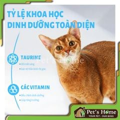 Hạt mèo MR.VET túi 1kg thức ăn mèo Mix thịt sấy