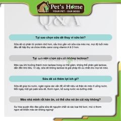 Pate sữa dê cho mèo Pet Q, thức ăn cho mèo mọi lứa tuổi 70g