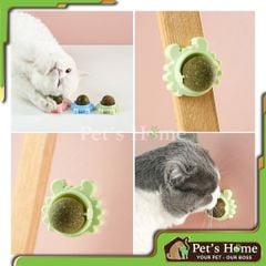 Viên catnip dán tường cho mèo