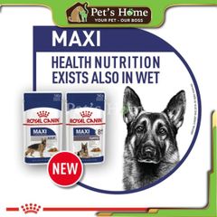 Pate Royal Canin Maxi Adult thức ăn mềm ướt cho chó lớn giống lớn Pháp 140g