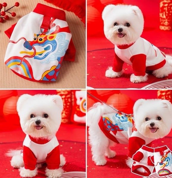 Áo nỉ họa tiết hình rồng