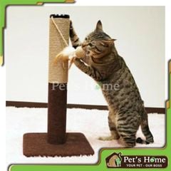 Trụ cào cho mèo Cattyman