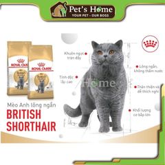 Hạt Royal Canin British Shorthair [2kg - 400g] thức ăn cho mèo anh lông ngắn Pháp