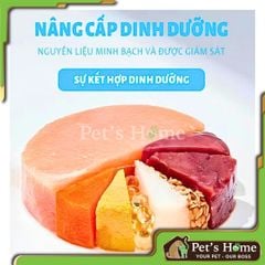 Hạt mèo MR.VET túi 1kg thức ăn mèo Mix thịt sấy
