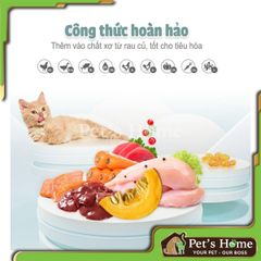 Thức ăn hạt cho mèo PetQ Macaron D10 200g