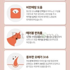 Hạt Iskhan Grainfree [2,5kg] thức ăn cho mèo Kitten, Adult trị hairball, chống rụng lông Hàn Quốc