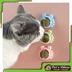 Viên catnip dán tường cho mèo