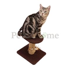 Trụ cào 2 tầng cho mèo Cattyman