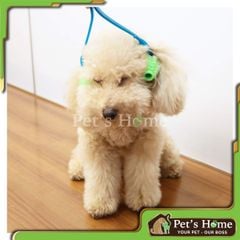 Gậy massage chó Doggyman