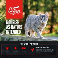 Hạt Orijen [5,4kg] thức ăn cho mèo từ cá biển sâu cao cấp Canada