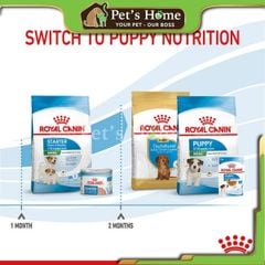 Hạt Royal Canin Mini Adult cho giống chó nhỏ trên 10 tháng tuổi