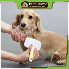 Bàn chải vuông răng mềm HS DoggyMan size S NHS-58