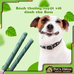 Bánh thưởng Doggyman loại Que gặm các vị giúp sạch răng cho chó Nhật Bản túi 60g 120g