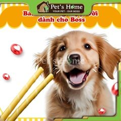 Bánh thưởng Doggyman loại Que gặm các vị giúp sạch răng cho chó Nhật Bản túi 60g 120g