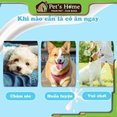 Bánh thưởng cho chó Doggyman loại Que gặm các vị