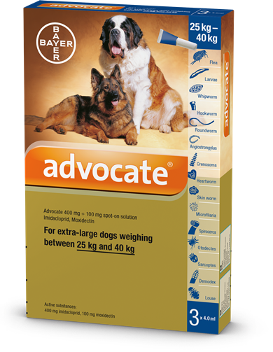 Advocate trị ký sinh trùng cho chó 25-40Kg