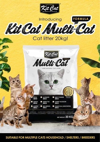Cát sỏi KitCat Multi-Cat 20kg