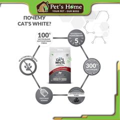 Cát vệ sinh cho mèo Cat's White 10L