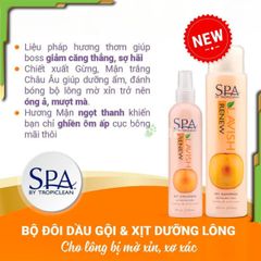 Dầu gội SPA Tropiclean Pet Shampoo sữa tắm lưu hương, không gây dị ứng, cay mắt cho chó mèo Mỹ 473ml