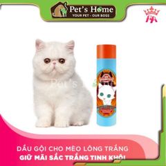 Dầu gội và xả mèo Lee Webster 280G