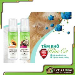 Dầu tắm khô cho chó mèo Tropiclean Waterless Shampoo 220ml