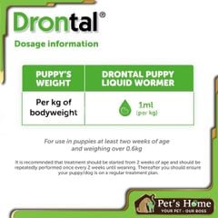 Drontal Puppies - Thuốc nước xổ giun cho chó con