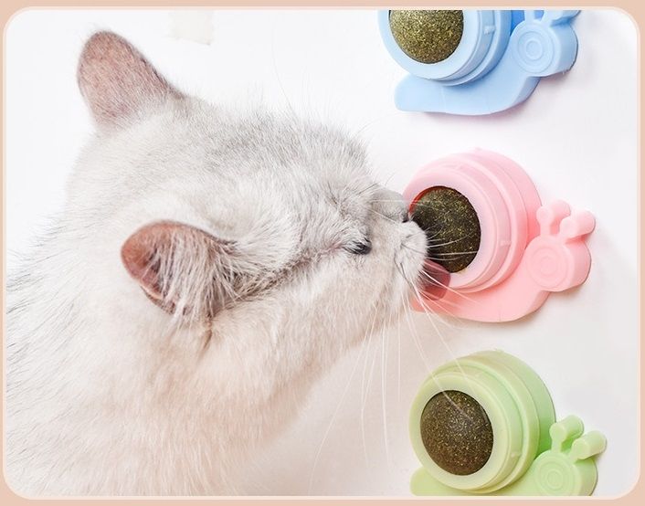 Viên catnip dán tường cho mèo