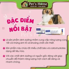 Gel dinh dưỡng Nutri-plus gel Virbac