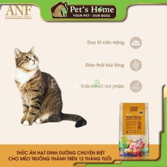 Hạt ANF [6kg] thức ăn cho mèo con, mèo trưởng thành 6 Free Hàn Quốc