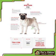 Hạt Royal Canin Pug cho giống chó Pug