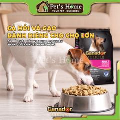 Hạt Ganador Premium 400g thức ăn cho chó CON, chó LỚN Pháp
