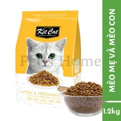 Hạt Kit Cat [1,2kg] Thức ăn cho mèo topping gà, cá cơm, cá hồi Singapore