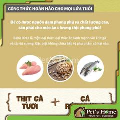 Hạt Natural Core C3 [10kg - 5kg] thức ăn cho mèo thịt gà và cá hồi Bene 3012 Hàn Quốc