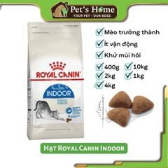 Hạt Royal Canin Indoor thức ăn cho mèo trưởng thành Pháp ( bao lớn )