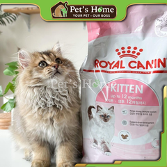 Hạt Royal Canin Kitten [10kg - 4kg] cho mèo con 4-12 tháng tuổi tăng miễn dịch Pháp