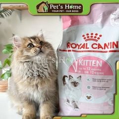 Hạt Royal Canin Kitten cho mèo con