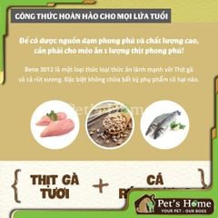 Hạt Natural Core C3 [1,5kg - 500g] thức ăn cho mèo thịt gà và cá hồi Bene 3012 Hàn Quốc