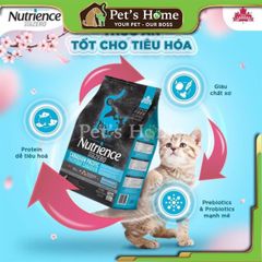 Hạt Nutrience Subzero [5kg] thức ăn cho mèo cá hồi cá tuyết rau củ Cao cấp Canada