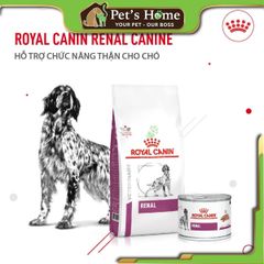 Hạt Royal Canin Renal trị thận cho chó 2kg