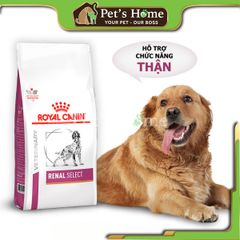 Hạt Royal Canin Renal trị thận cho chó 2kg