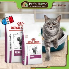 Hạt Royal Canin Renal Feline trị bệnh thận cho mèo