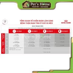 Hạt Royal Canin Renal Feline trị bệnh thận cho mèo