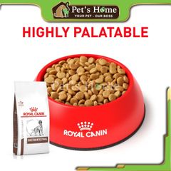 [Túi 2kg] Hạt Royal Canin GastroIntestinal cho chó