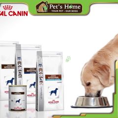 Hạt Royal Canin GastroIntestinal [2kg] cho chó hỗ trợ tiêu hóa và vấn đề đường ruột Pháp