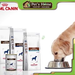 [Túi 2kg] Hạt Royal Canin GastroIntestinal cho chó