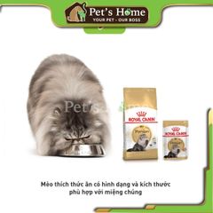 Hạt Royal Canin Persian [2kg - 400g] thức ăn cho mèo Ba Tư kitten adult Pháp