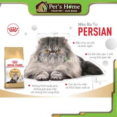 Hạt Royal Canin Persian [2kg - 400g] thức ăn cho mèo Ba Tư kitten adult Pháp